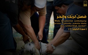 309693_10150536656602846_450984385_n